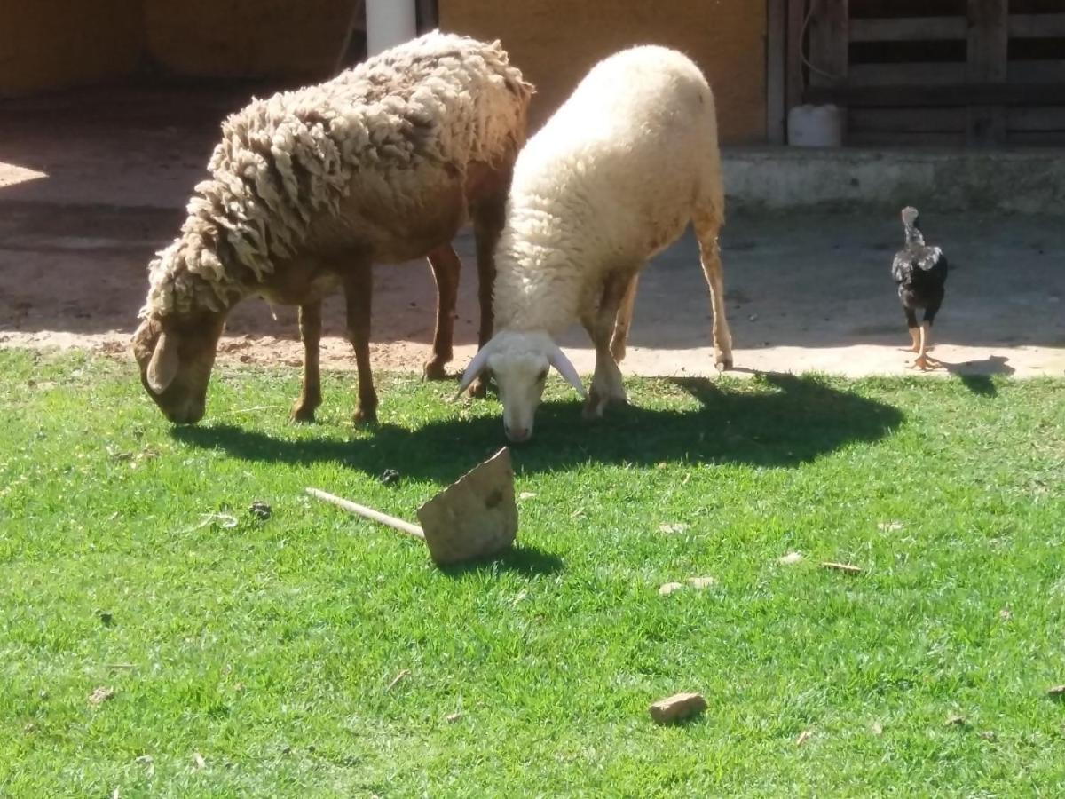 Agroturismo Molise Fazenda